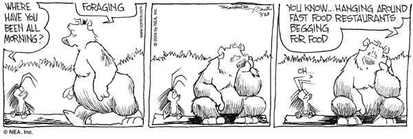 grizzwells